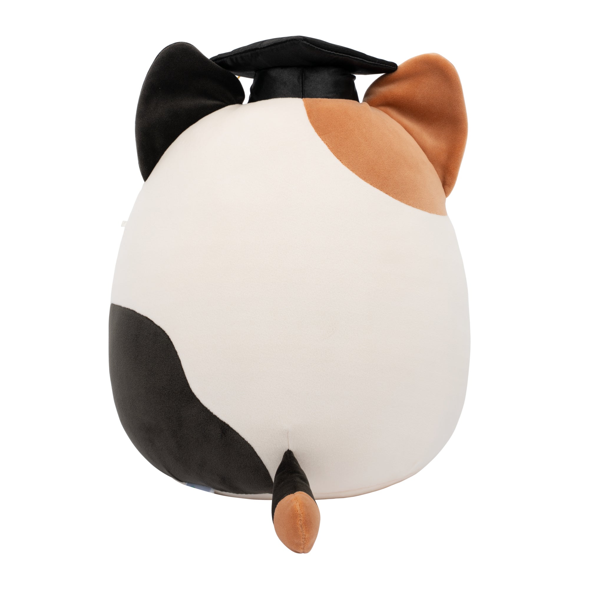 12-Inch Cam the Calico Cat in Graduation Cap - Image 4