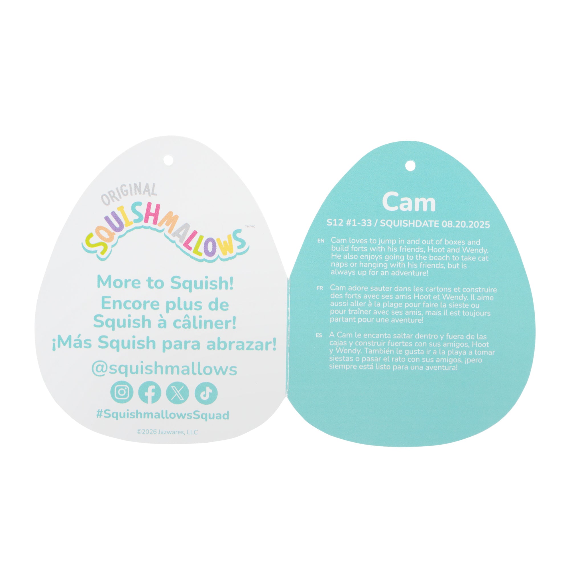 12-Inch Cam the Calico Cat in Graduation Cap - Image 6